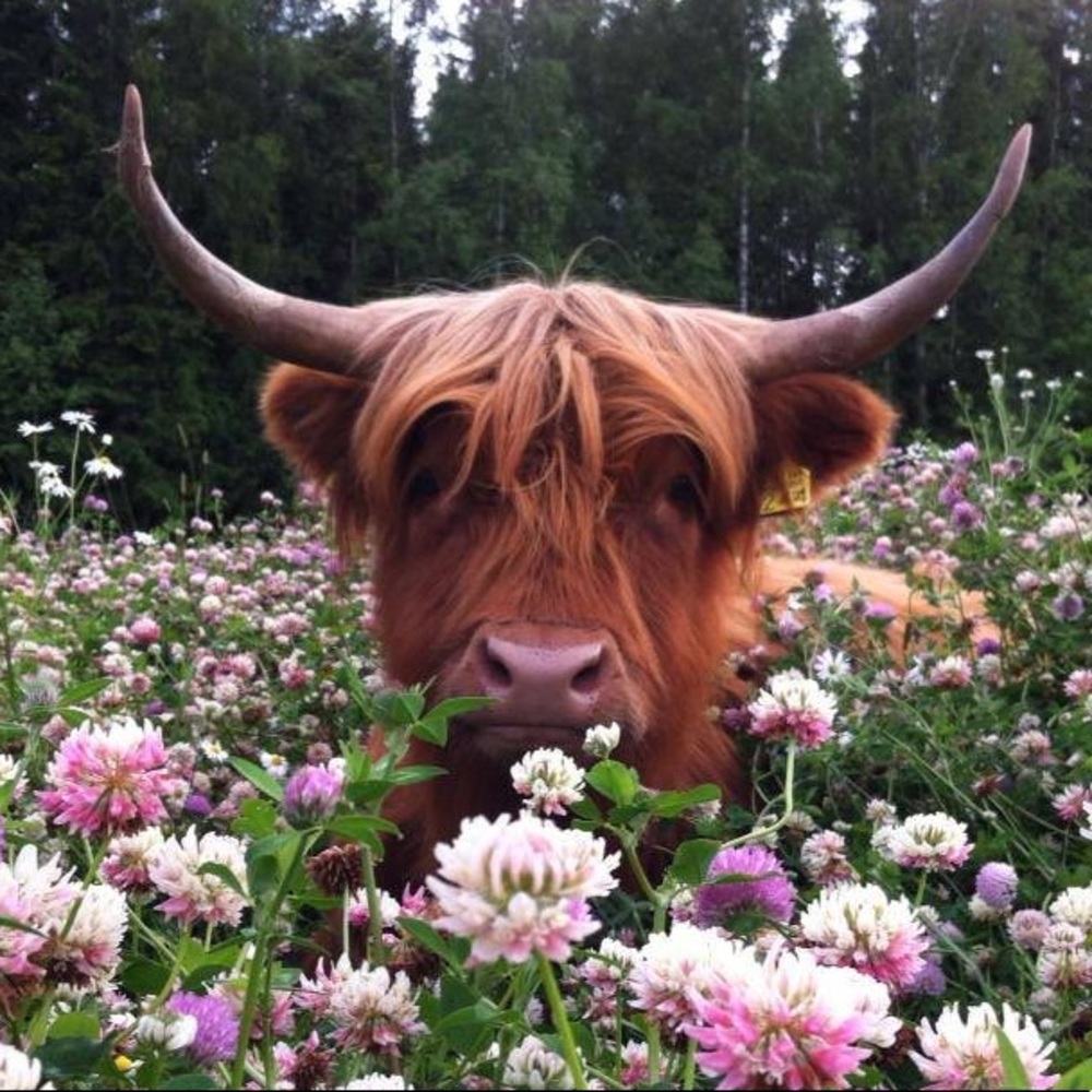 Meet your Posher, Kristina